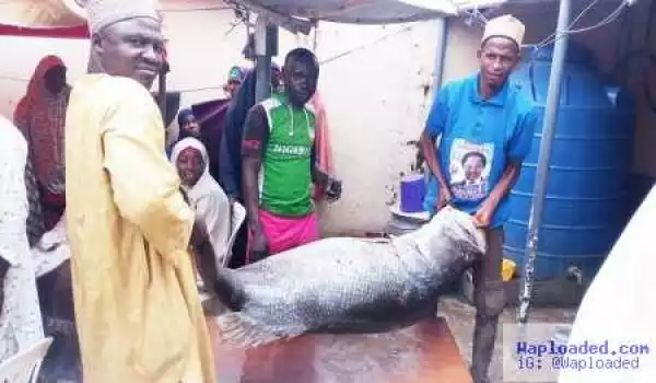 Photo: George Akume Donates Fish To Senator For Mother